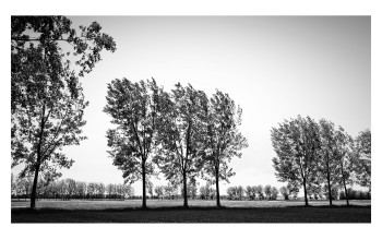 Monochromatic Landscape N° 1