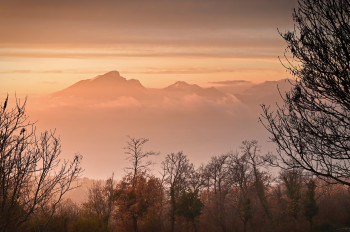 Misty Peaks