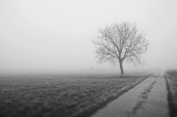 A foggy Notion