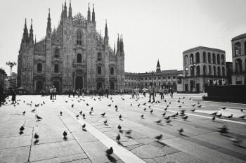 Hungry Birds
